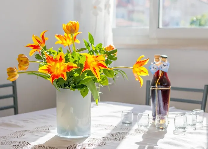 Adria 두브로브니크