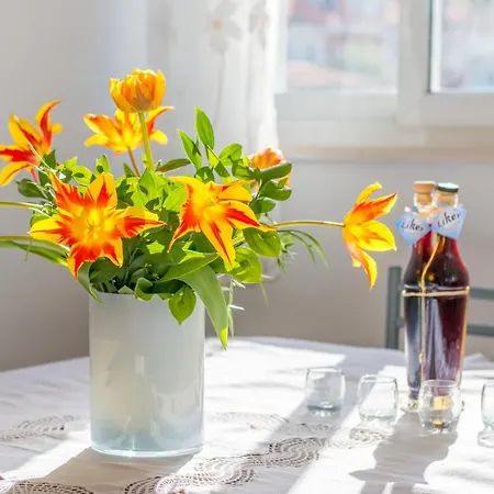 Adria 杜布罗夫尼克